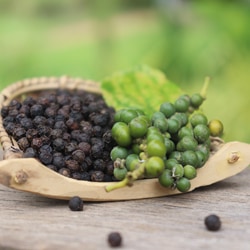 黒コショウ様 楽天市場】有機 オーガニック 黒胡椒 ブラックペッパー カンボジア産